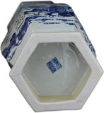 25" Classic Blue and White Hexagonal Porcelain Vase, Lion Dance, Ceramic China Qing Style （D10）