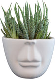 Festcool A Pair of White Head Ceramic Pot Porcelain Planters Flower Pots
